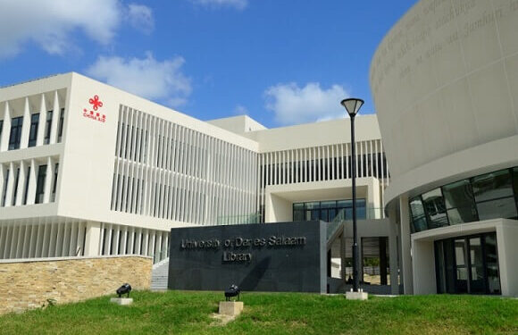 Shot in the arm as NMB Bank offers 20m/- reward to UDSM ‘Best Innovator 2022’