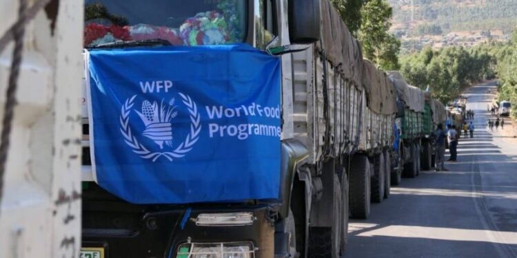 UN food agency announces further refugee ration cuts