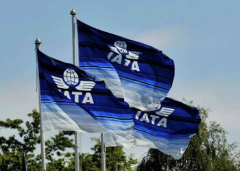 African airlines’ cargo volumes decrease by 1.5%, IATA says 