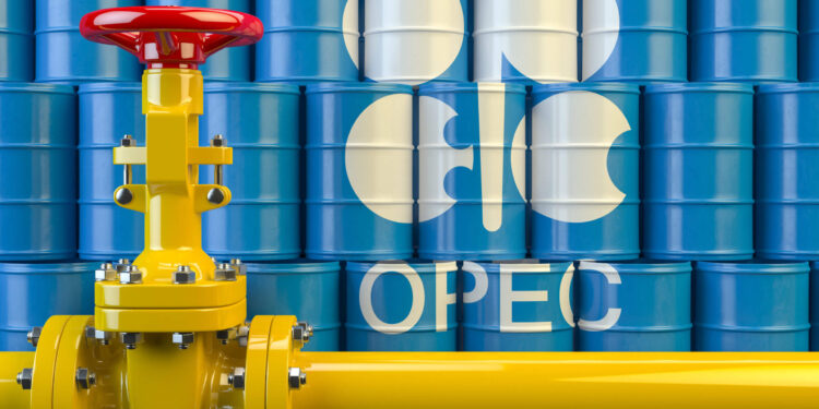 OPEC sees slower 2023 oil demand growth, no big shale gain