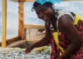 FAO’s FISH4ACP programme empowers women to address falling yields and discrimination