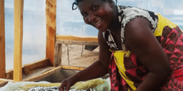 FAO’s FISH4ACP programme empowers women to address falling yields and discrimination