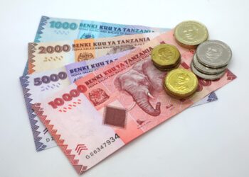 Tanzanian shilling remained stable against major currencies in January 2023 – BoT