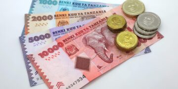 Tanzanian shilling remained stable against major currencies in January 2023 – BoT