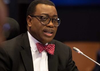 Investing in Africa is profitable, AfDB President tells Japanese investors