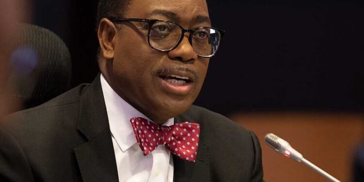 Investing in Africa is profitable, AfDB President tells Japanese investors