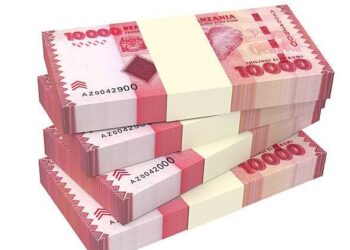 Tanzania’s private sector credit up 22.5 pct in February on supportive monetary policies