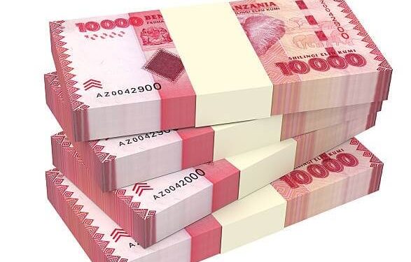 Tanzania’s private sector credit up 22.5 pct in February on supportive monetary policies