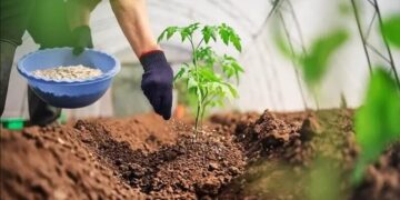 AfDB provides $2 million partial credit guarantee, $528,600 grant to facilitate access to fertilizer for Tanzania smallholder farmers