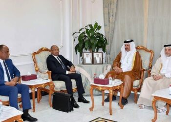 Zanzibar President offers investment opportunities to Qatari investors