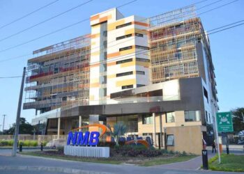 Yetu Microfinance Bank assets and liabilities transferred to NMB Bank as regulatory challenges persist