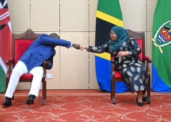 Value of Kenya exports to Tanzania hit 995.5bn/- in 2022, tops EAC growth