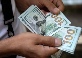 Dar moves to control dollarization of the economy