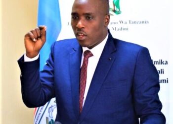 Tanzania names new energy minister to oversee LNG development