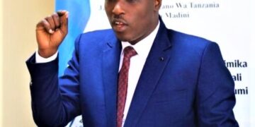 Tanzania names new energy minister to oversee LNG development