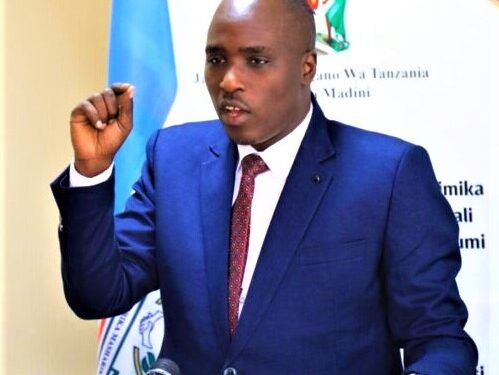 Tanzania names new energy minister to oversee LNG development