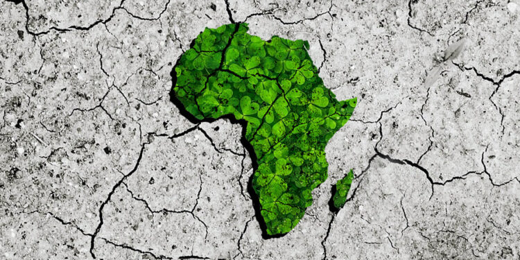 Africa needs more than $100 billion a year for climate adaptation, study Shows