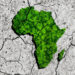 Africa needs more than $100 billion a year for climate adaptation, study Shows