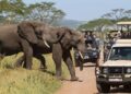 Tourism activities in Tanzania up 49.8% in Q1, 2023 on removal of travel restrictions by most countries