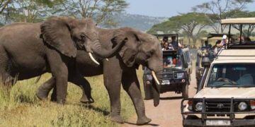 Tourism activities in Tanzania up 49.8% in Q1, 2023 on removal of travel restrictions by most countries