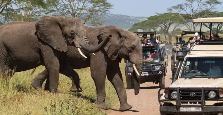 Tourism activities in Tanzania up 49.8% in Q1, 2023 on removal of travel restrictions by most countries