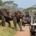 Tourism activities in Tanzania up 49.8% in Q1, 2023 on removal of travel restrictions by most countries