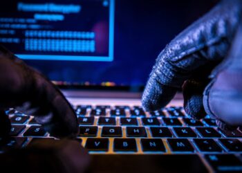 Cybercriminals went after the rich in H1 2023 – report