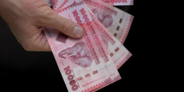 Tanzania shilling to hold steady as most African currencies weaken next week