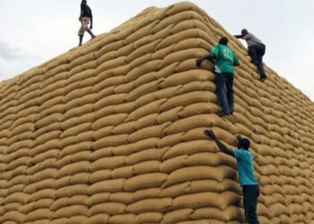 Tanzania food stocks hit record 244,160 tonnes in Q3, 2023