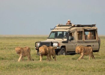 Africa could see $168bln tourism boost in next decade