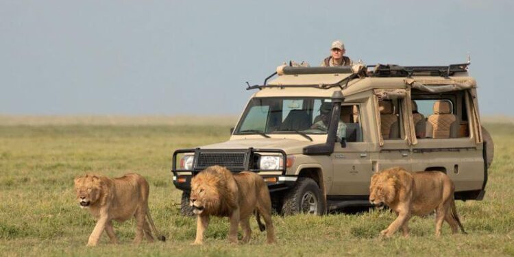 Africa could see $168bln tourism boost in next decade