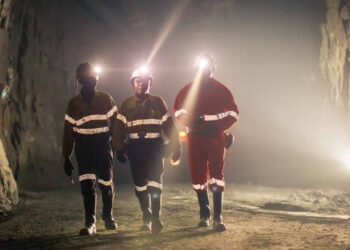 East Africa adopts diversified resource development strategy