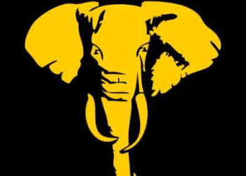 Tembo Gold set to rebrand after securing new strategic partner