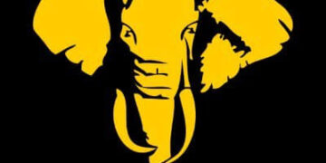 Tembo Gold set to rebrand after securing new strategic partner