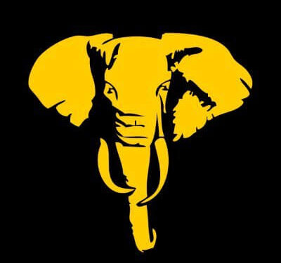 Tembo Gold set to rebrand after securing new strategic partner