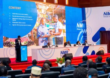 NMB Share Split Expands Stock Market Access for Retail Investors