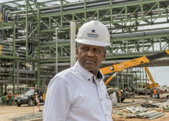 Tanzanians Can Access Dangote Refinery IPO Through Digital Platforms