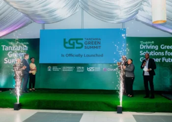  Tanzania Green Summit Draws International Interest in Green Investment