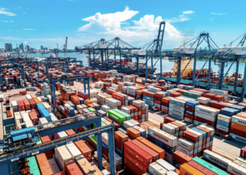 Tanzania’s Exports Surpass US$20 Billion: Which Industries Are Driving Growth?