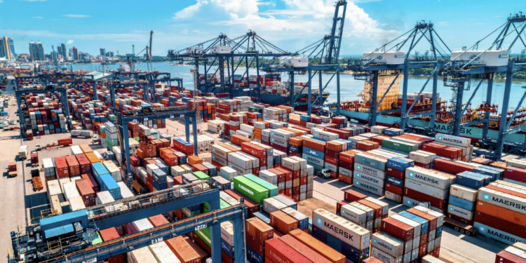 Tanzania’s Exports Surpass US$20 Billion: Which Industries Are Driving Growth?