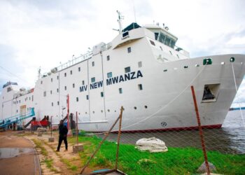 Mwanza’s Ports Could Become a Bigger Trade Gateway — Are Businesses Ready?