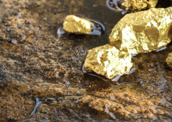 Tanzania’s Exports Reach US$20.2 Billion as Gold and Manufacturing Drive Growth