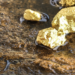 Tanzania’s Exports Reach US$20.2 Billion as Gold and Manufacturing Drive Growth