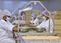 Tanzania’s Growth Challenge: How Can More Businesses Create Better-Paying Jobs?