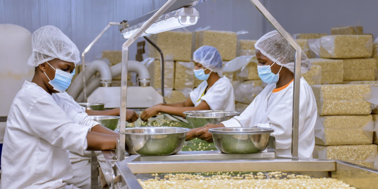 Tanzania’s Growth Challenge: How Can More Businesses Create Better-Paying Jobs?