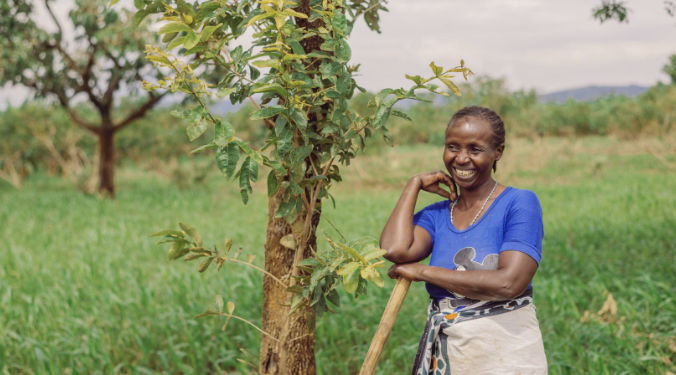 Tree Regeneration Offers Bahi Farmers a Potential Route to Better Maize Harvests