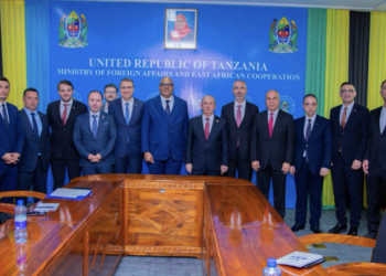 Tanzania and Türkiye Explore New Industrial Investments: Which Sectors Could Benefit?