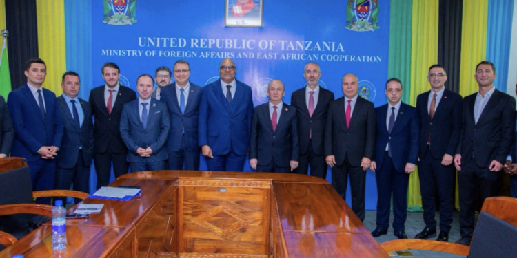Tanzania and Türkiye Explore New Industrial Investments: Which Sectors Could Benefit?