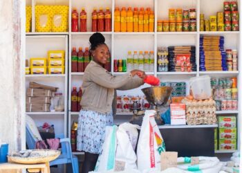 Tanzania’s Tax Reform Agenda: Can Simpler Compliance Help Small Businesses Grow?