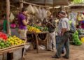 Tanzania’s Tourism Boom Faces a New Test: Can Local Businesses Capture More Spending?
